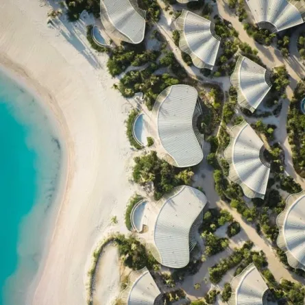 شركة البحر الأحمر