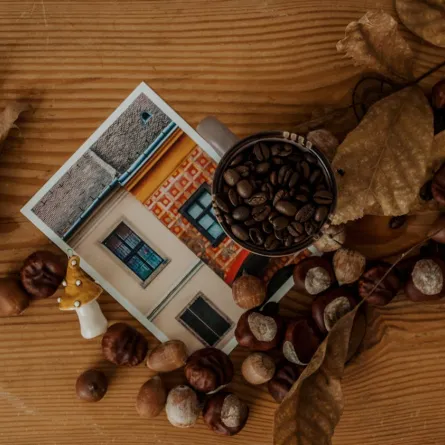 الكستناء صديقة النساء- المصدر: pexels-dagmara-dombrovska