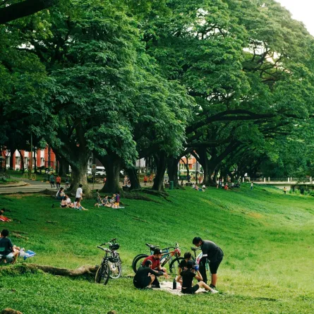  تفسير حلم التواجد فى حديقة