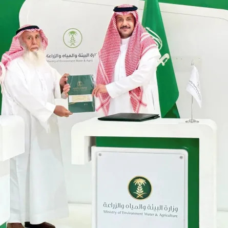 تربية الخيول وإنتاجها