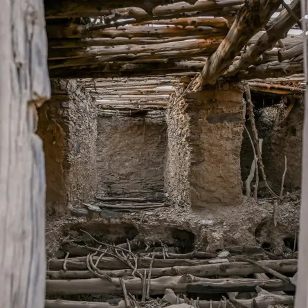 تراث الباحة