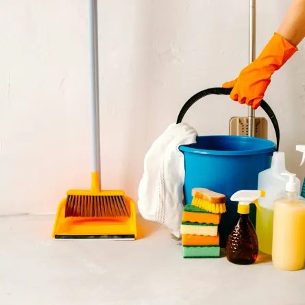 العناية بشؤون المنزل