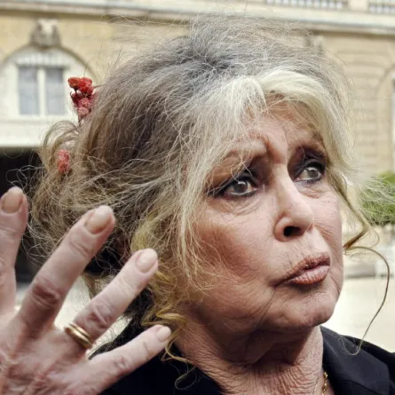 بريجيت باردو في باريس ( Brigitte Bardot in paris ). مصدر الصورة: Eric Feferberg / AFP