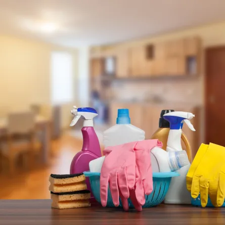 تنظيف المنزل
