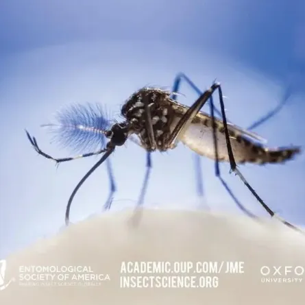 تطوير استراتيجية ذكية لمكافحة حمى الضنك  - الصورة من وكالة الأنباء السعودية "واس"