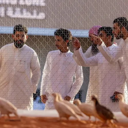 منطقة سفاري بمعرض الصقور والصيد السعودي - الصورة من وكالة الأنباء السعودية "واس"