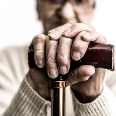 اليوم العالمي للمسنين 2025 