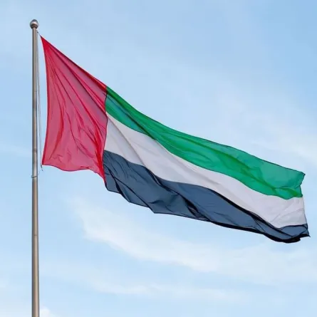 علم دولة الإمارات العربية المتحدة. الصورة من وكالة الأنباء الإماراتية "وام"