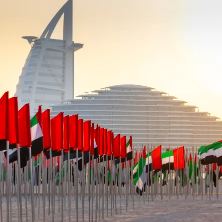  استخدم في تصميم حديقة الأعلام 11000 علم. الصورة من مكتب دبي الإعلامي