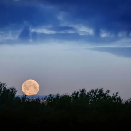 القمر العملاق 