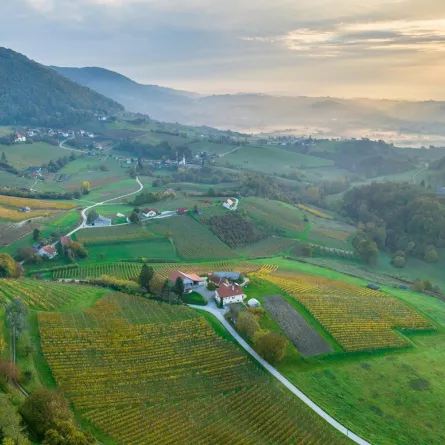 رحلة سياحية إلى الريف