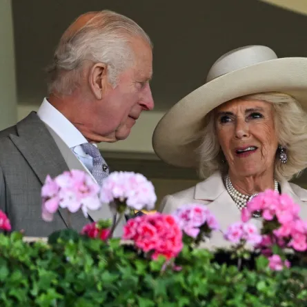 الملك تشارلز والملكة كاميلا في سباق رويال سكوت (مصدر الصورة: JUSTIN TALLIS / AFP)