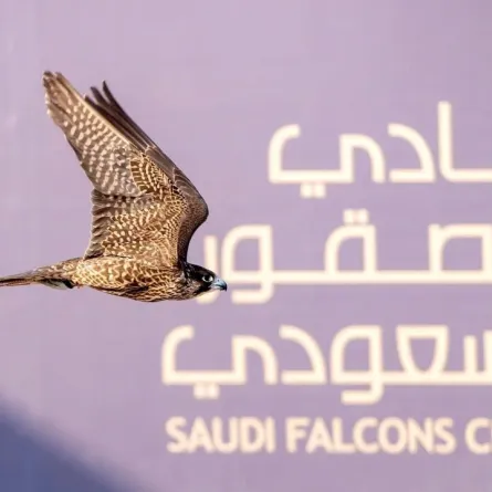 المنطقة الشرقية تستضيف كأس نادي الصقور السعودي 2025