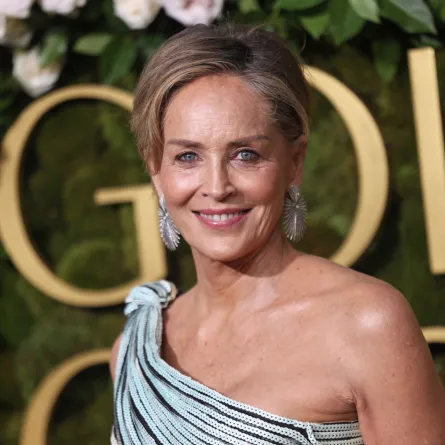 شارون ستون في كاليفورنيا ( Sharon Stone in California ). مصدر الصورة: Etienne Laurent / AFP