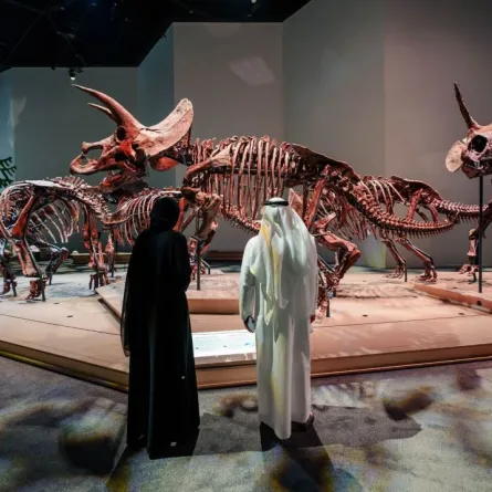 المتحف يقدم عروضًا فريدة منها أول عرض عالمي لقطيع من الديناصورات العملاقة في القاعة الرئيسية