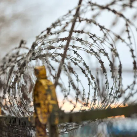 تفسير حلم السير على الشوك