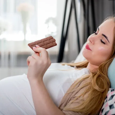 صورة حامل تأكل الشوكولاته