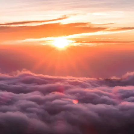 عام 2025 يشهد نشاطًا شمسيًا متزايدًا - الصورة من unsplash by sebastian pena lambarri