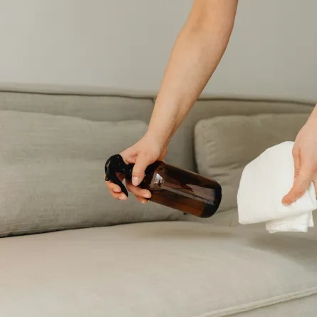 تنظيف المنزل