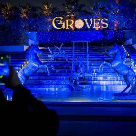 منطقة "ذا جروفز"