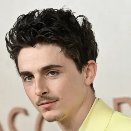 تيموثي شالاميت في كاليفورنيا (Timothée Chalamet in California). مصدر الصورة: Robyn Beck / AFP