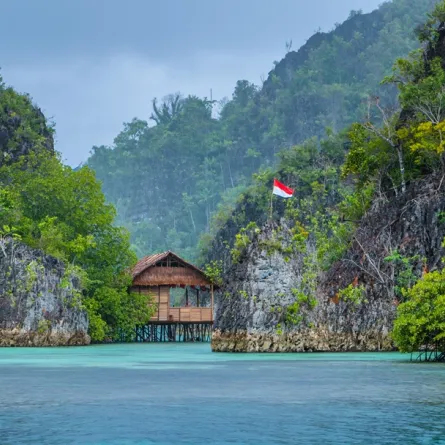 راجا أمبات تُعَدُّ من أفضل وجهات الغوص في إندونيسيا