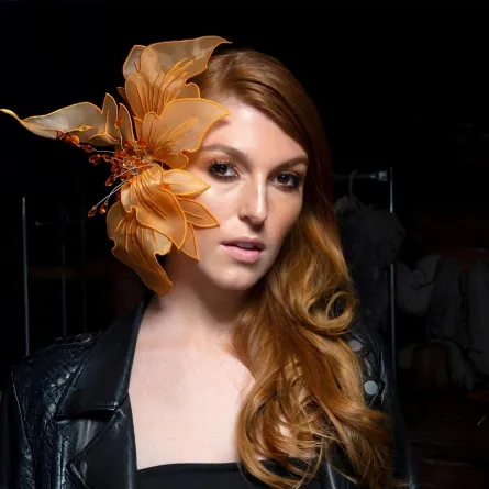 أكسسوارات شعر