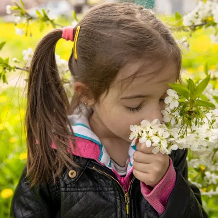صورة طفلة تشم الرائحة