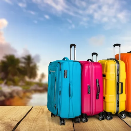 حقائب السفر