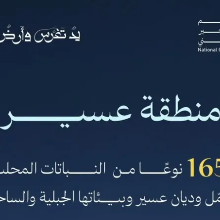 عسير