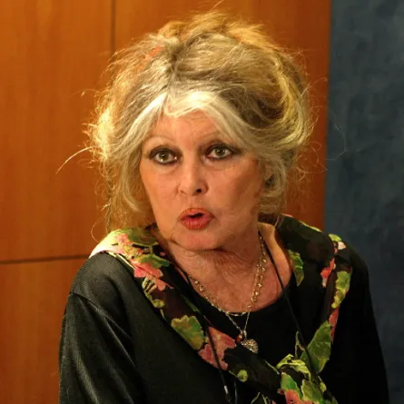  بريجيت باردو في باريس ( Brigitte Bardot in paris). مصدر الصورة: Jack GUEZ / AFP