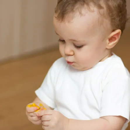 صورة طفل يفتت بيض السمان