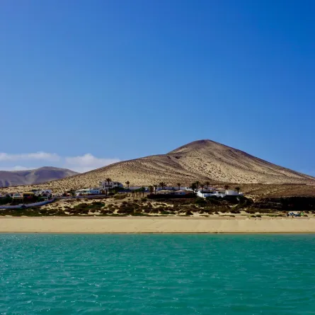 فويرتيفنتورا 