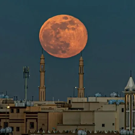 ظهور قمر الذئب في سماء الحدود الشمالية