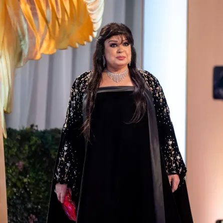 فيفي عبده- الصورة من المركز الإعلامي لـ  مجموعة MBC