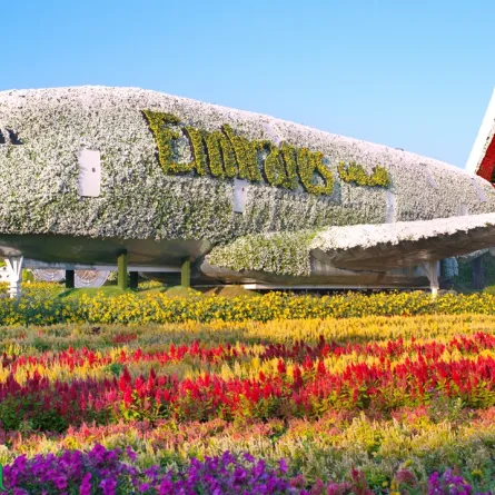 دبي ميراكل جاردن 