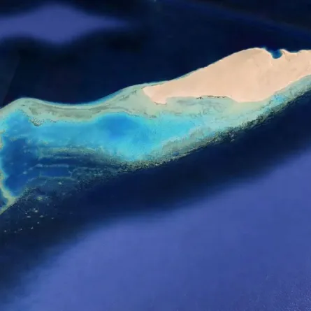 جزيرة النعمان