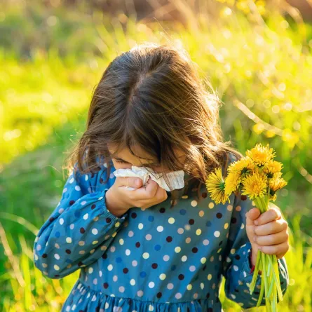 صورة الحساسية الموسمية