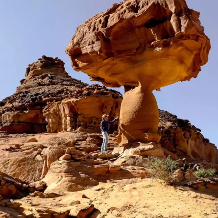 وادي الفن إبداعات فنية تتربّع في قلب العُلا. الصورة من الموقع الرسمي لاستكشف العلا