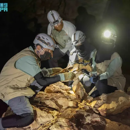 اكتشاف 7 فهود محنطة داخل كهوف في السعودية - الصورة من وكالة الأنباء السعودية "واس"