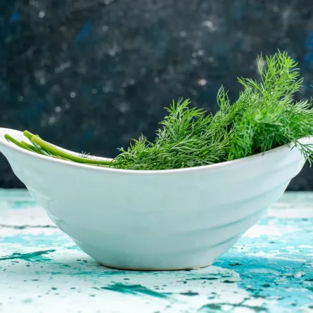 فوائد الشبت - المصدر  freepik by KamranAydinov