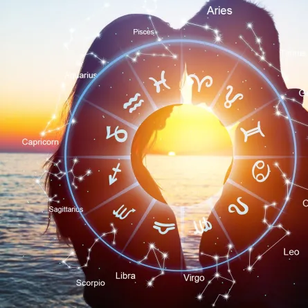 أفضل شريك لبرج الدلو 