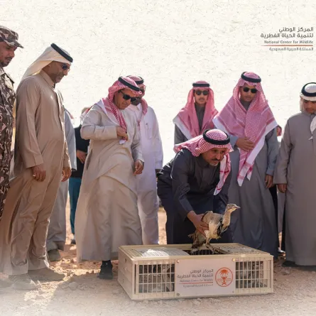 محمية الملك عبدالعزيز