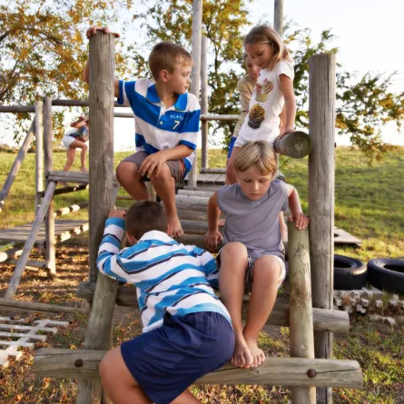 صورة أطفال يمارسون التسلق