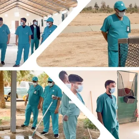 كأس السعودية