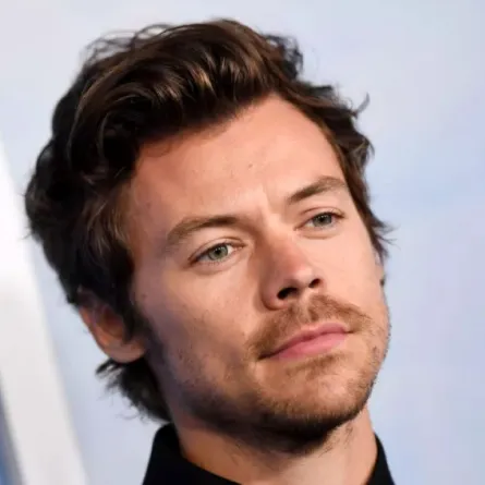 هاري ستايلز (Harry Styles). مصدر الصورة: VALERIE MACON / AFP