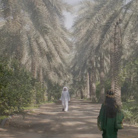 بين هامات النخيل وأشعة الشمس تتجسد مقولة "غرس الأجداد.. فحصد الأحفاد"