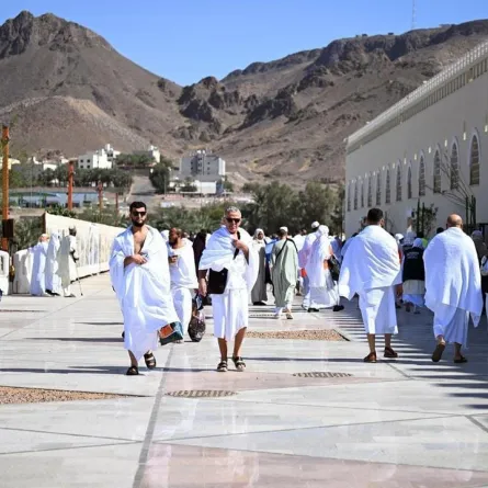 المدينة المنورة