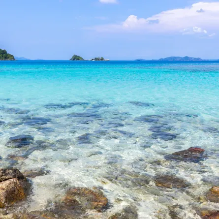 حلم البحر الهائج والبحر الهادئ - مصدر الصورة: Freepik by jcomp