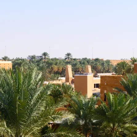 جولة في العاصمة الرياض لمناسبة يوم التأسيس 2026